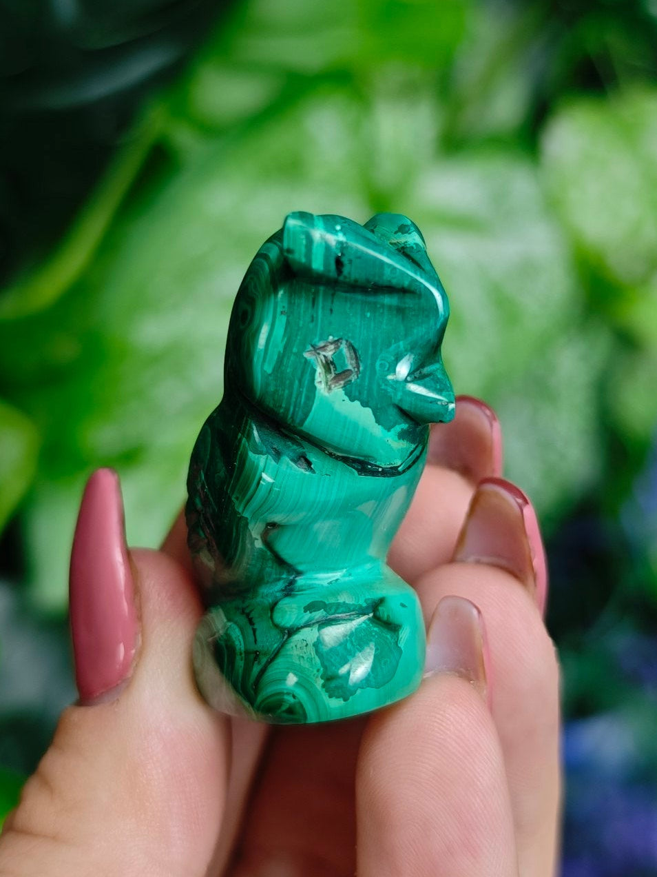 Malchite Owl