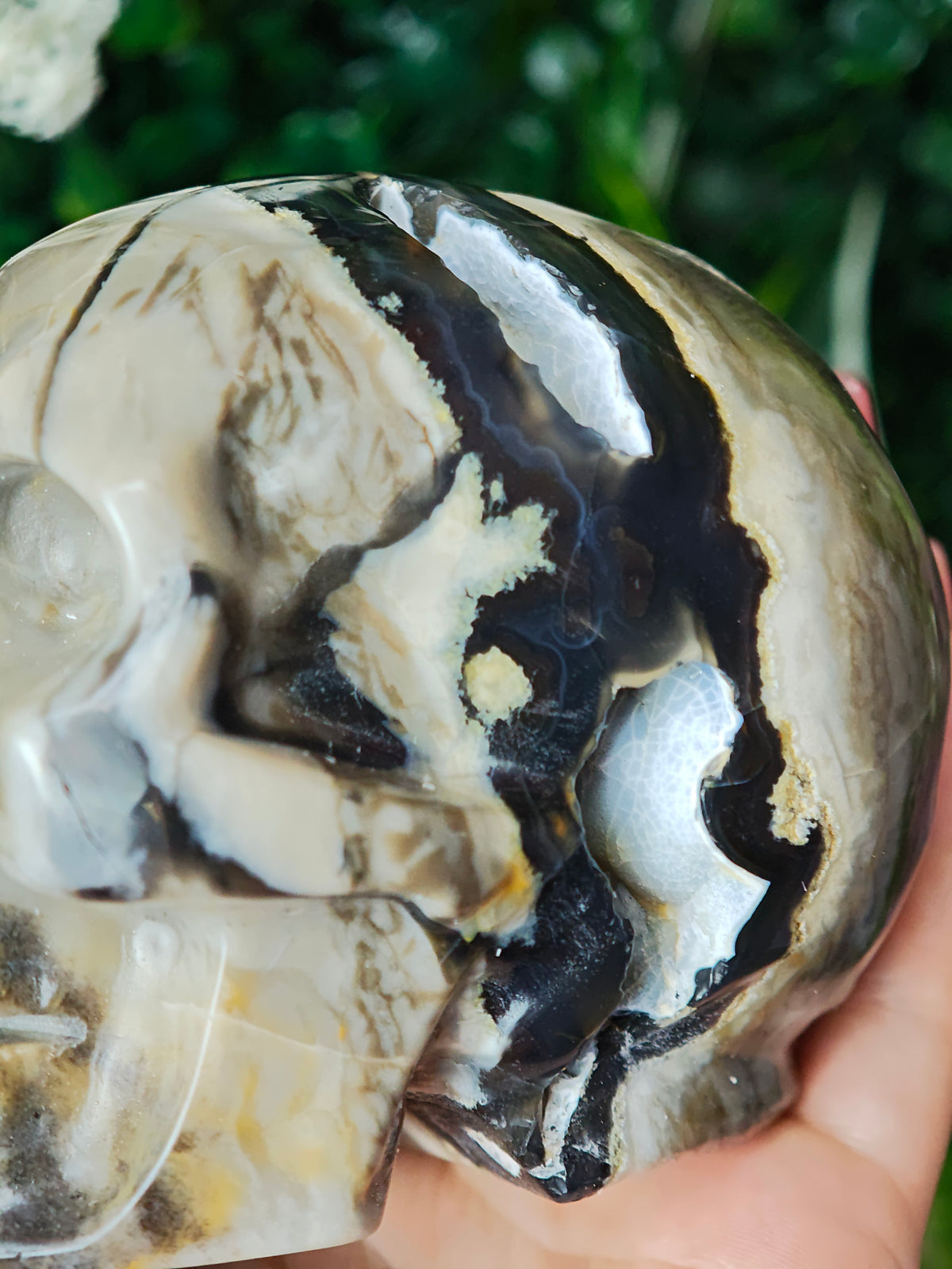 Volcano Agate Skull