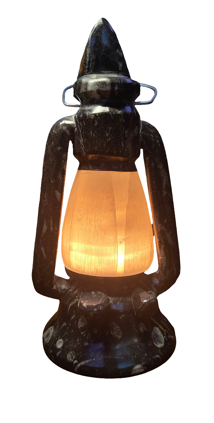 10.5" Selenite & Orthoceras Lamp