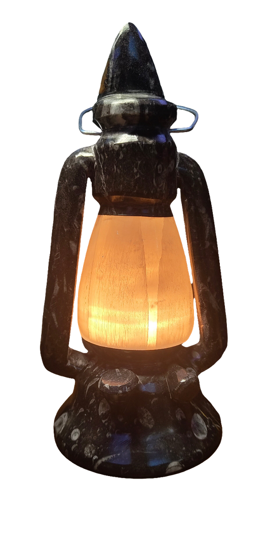 10.5"  Selenite & Orthoceras Lamp