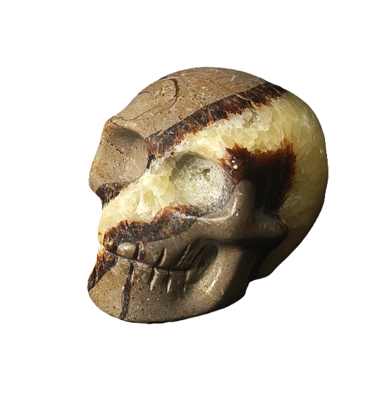 Septarian Skull Carving 2”