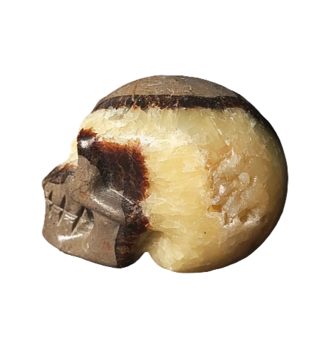 Septarian Skull Carving 2”
