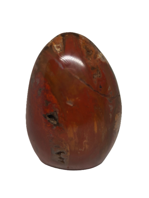 Petrified Wood Free Form 3.75"