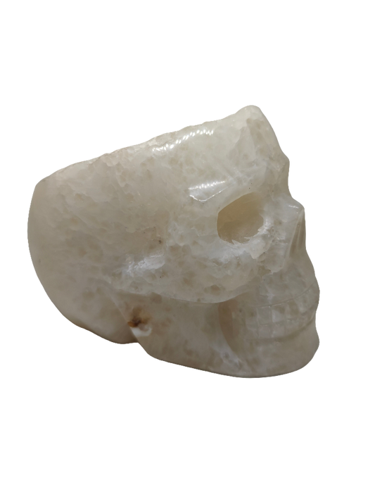 Clear Quartz Skull 5.25"