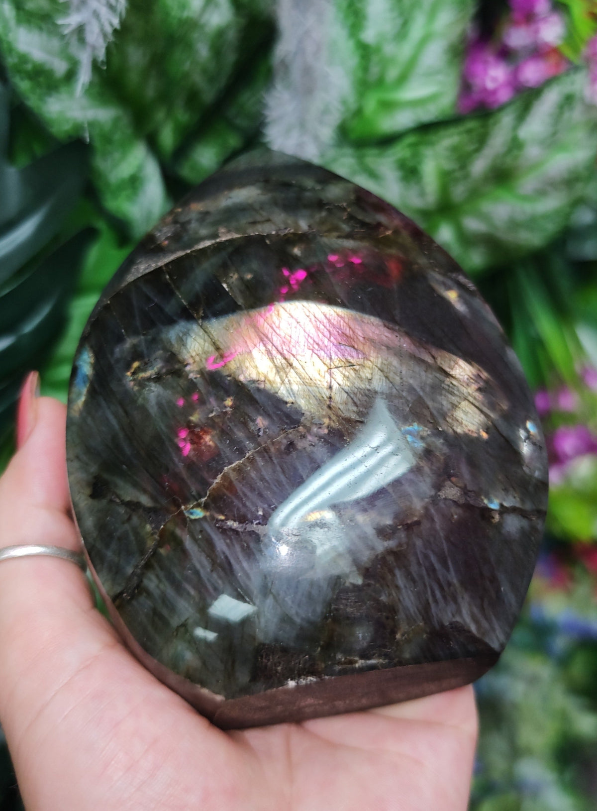 Purple Labradorite Free Form
