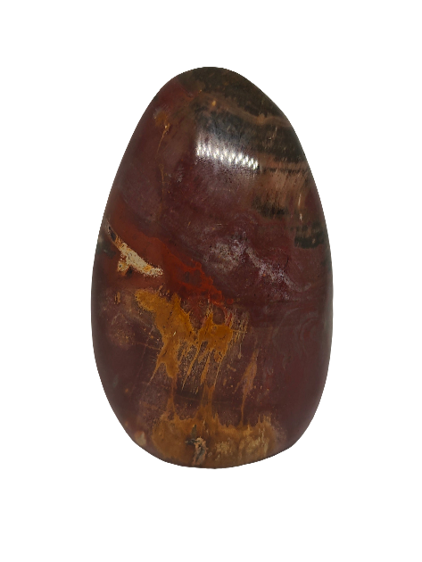 Petrified Wood Free Form 4.25"