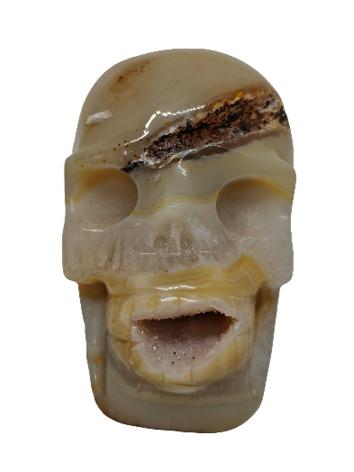 Clear Quartz & Agate Skull 4.25"