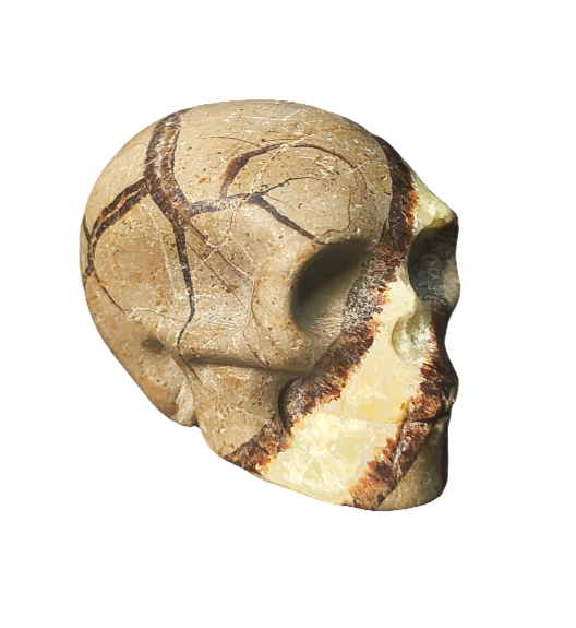 Septarian Skull Carving 2”