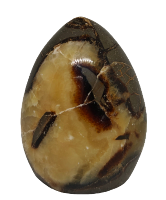 Septarian Freeform 3"