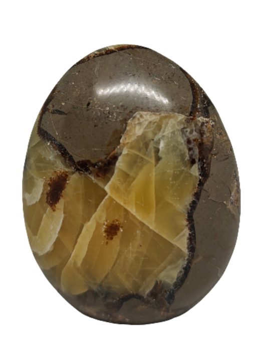 Septarian Freeform 3.75"