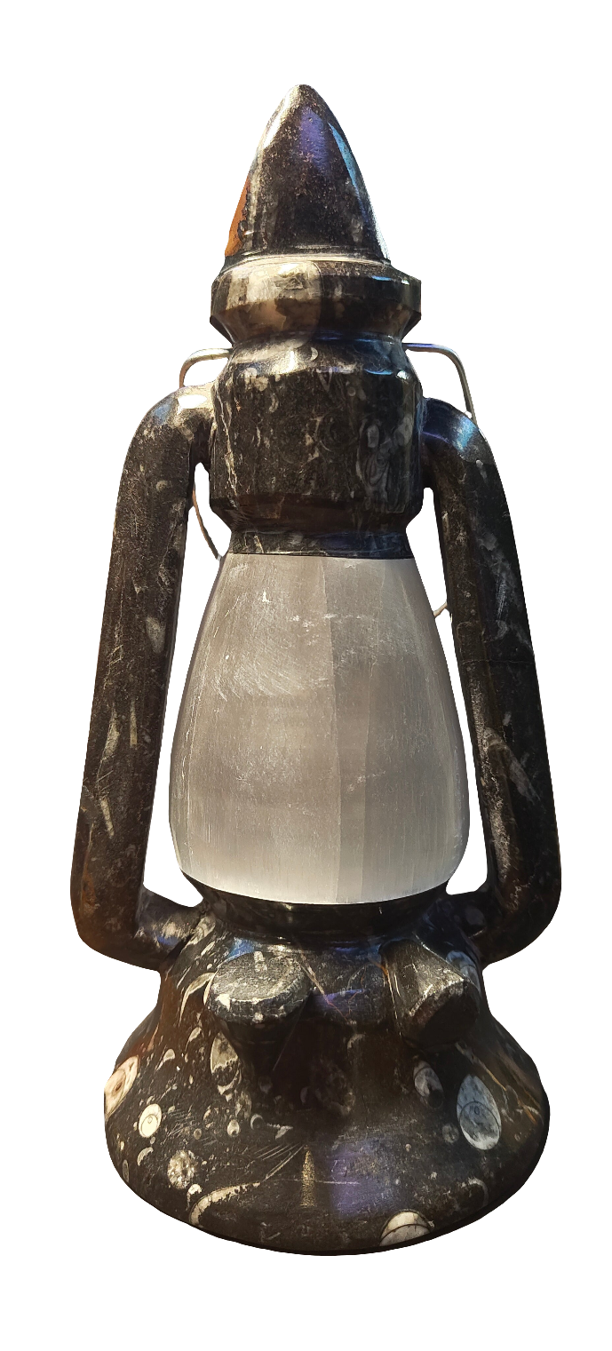 10.5" Selenite & Orthoceras Lamp