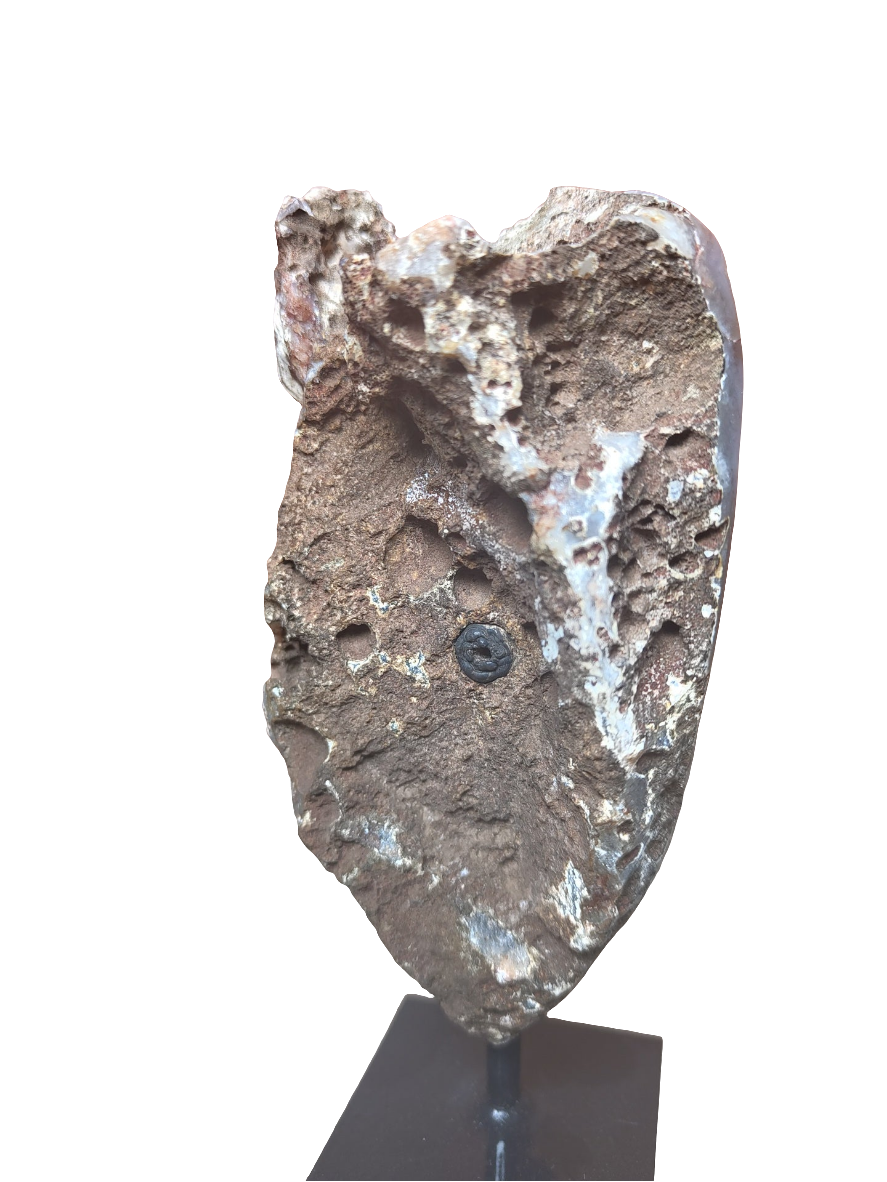 Agate Geode on Stand 6.5"