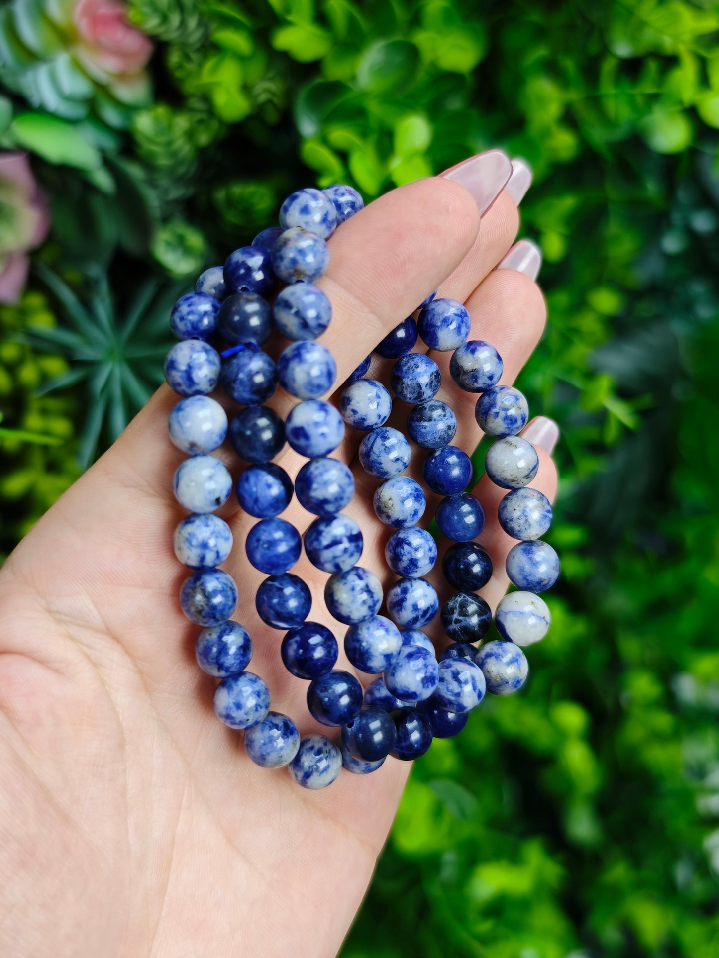 Sodalite Bracelet