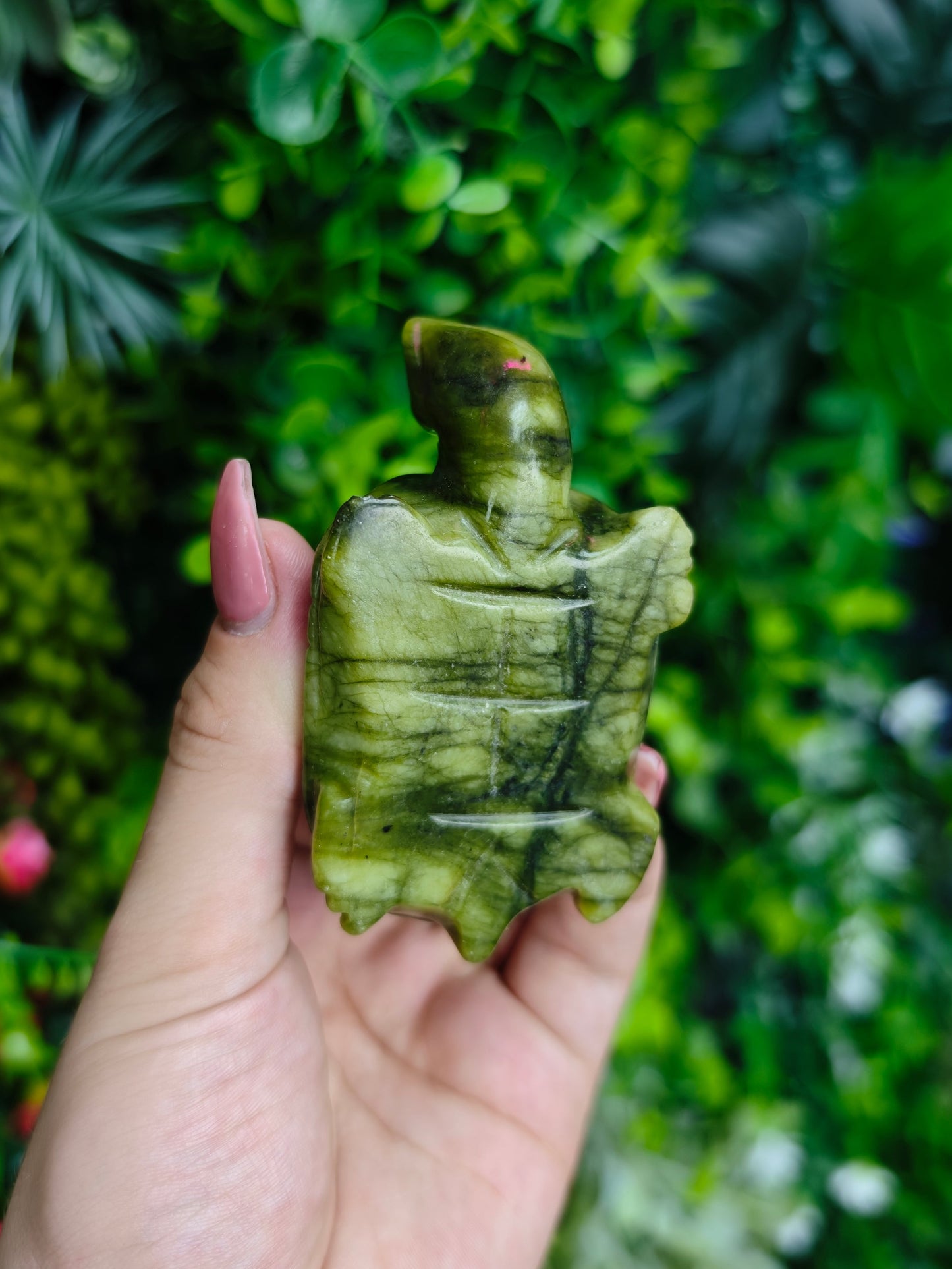 Green Jade Turtle