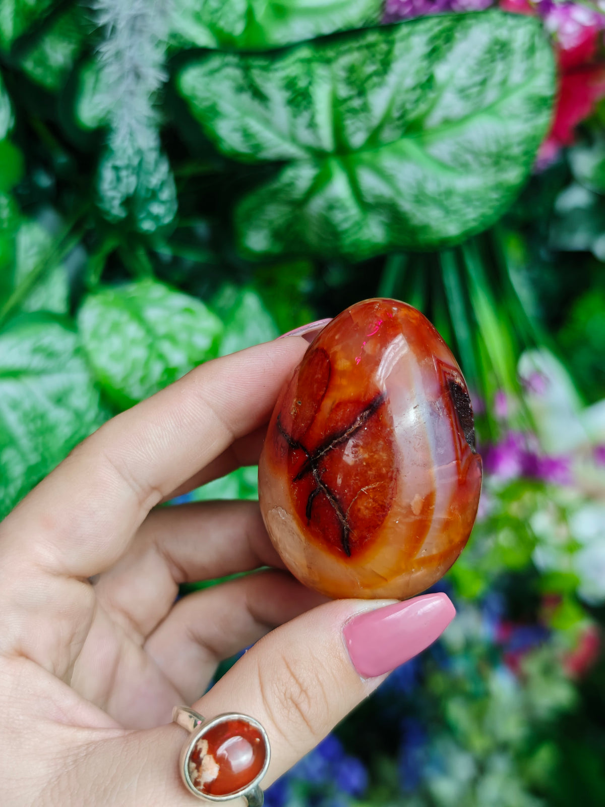 Carnelian & Orca Agate Egg