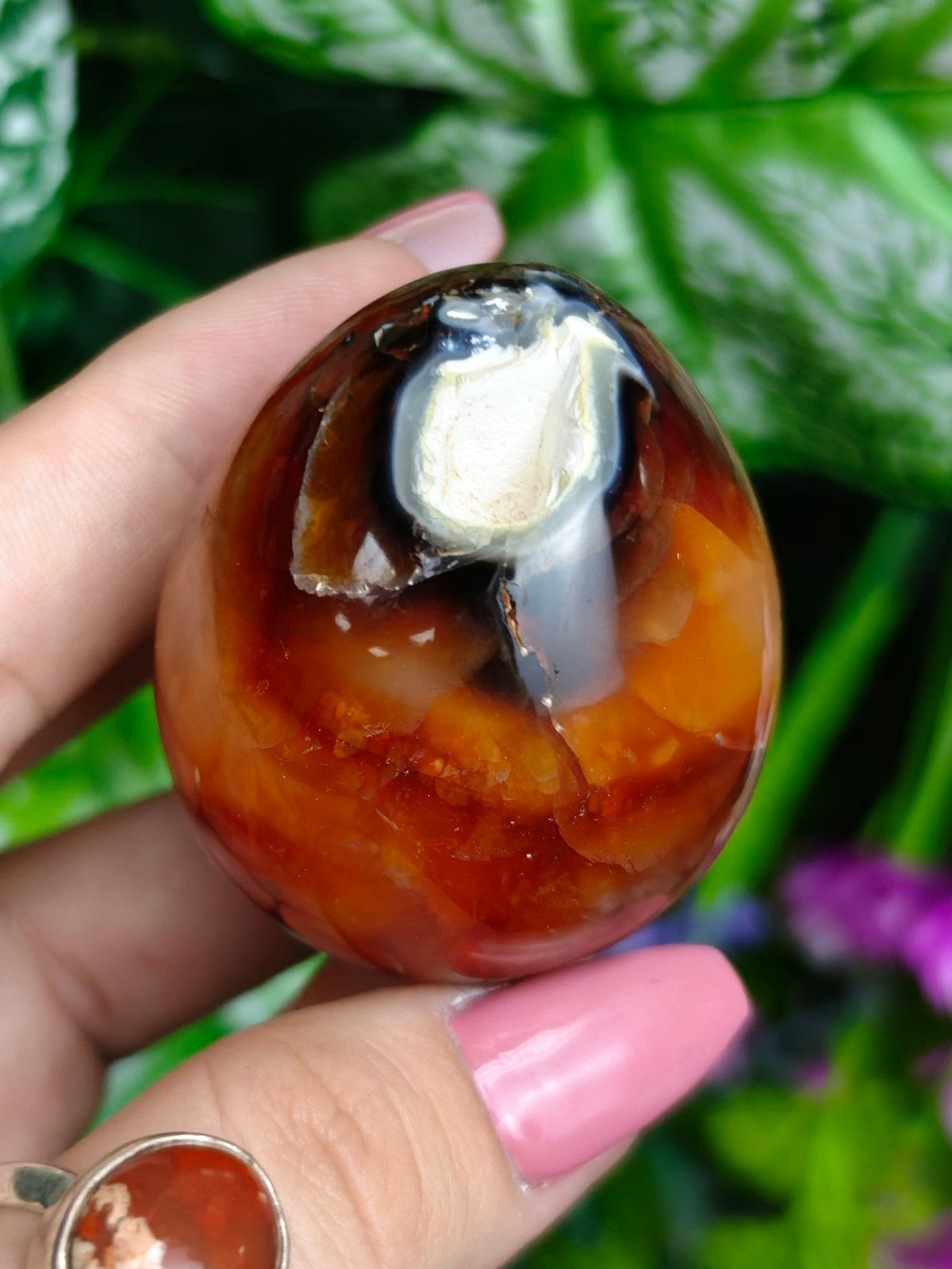 Carnelian and Orca Agate Egg