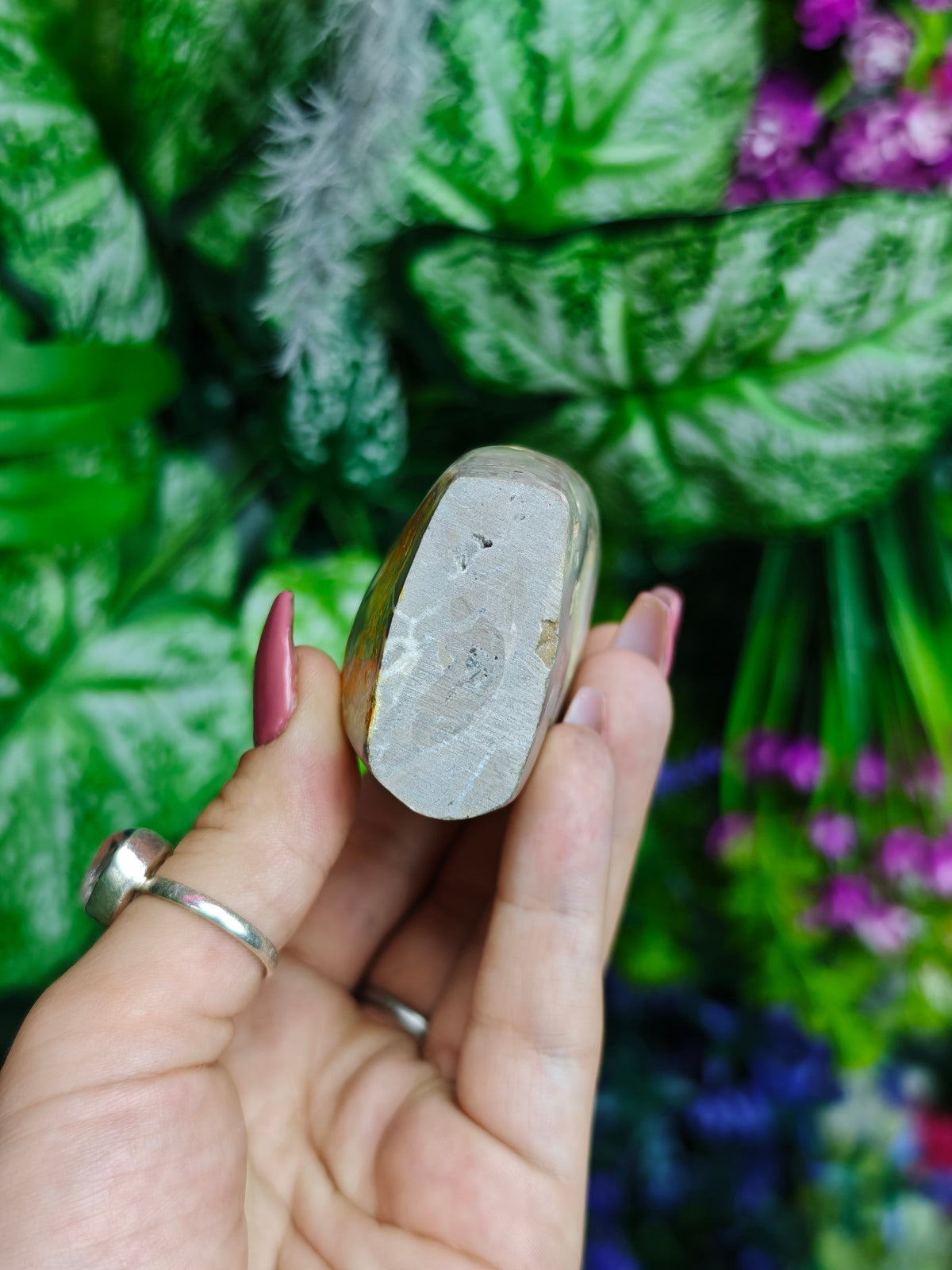 Bumblebee Jasper Freeform