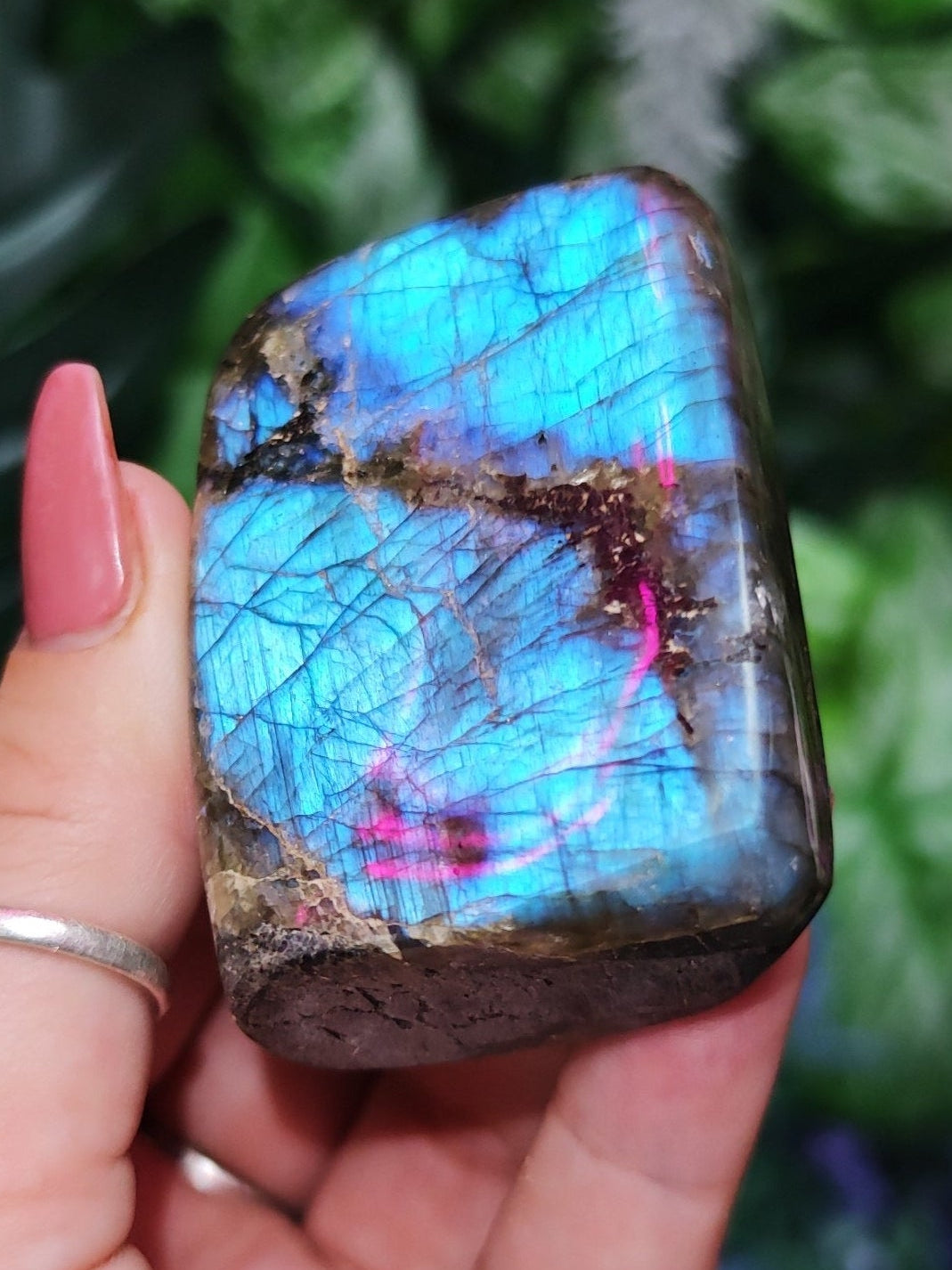 Blue Labradorite Free Form