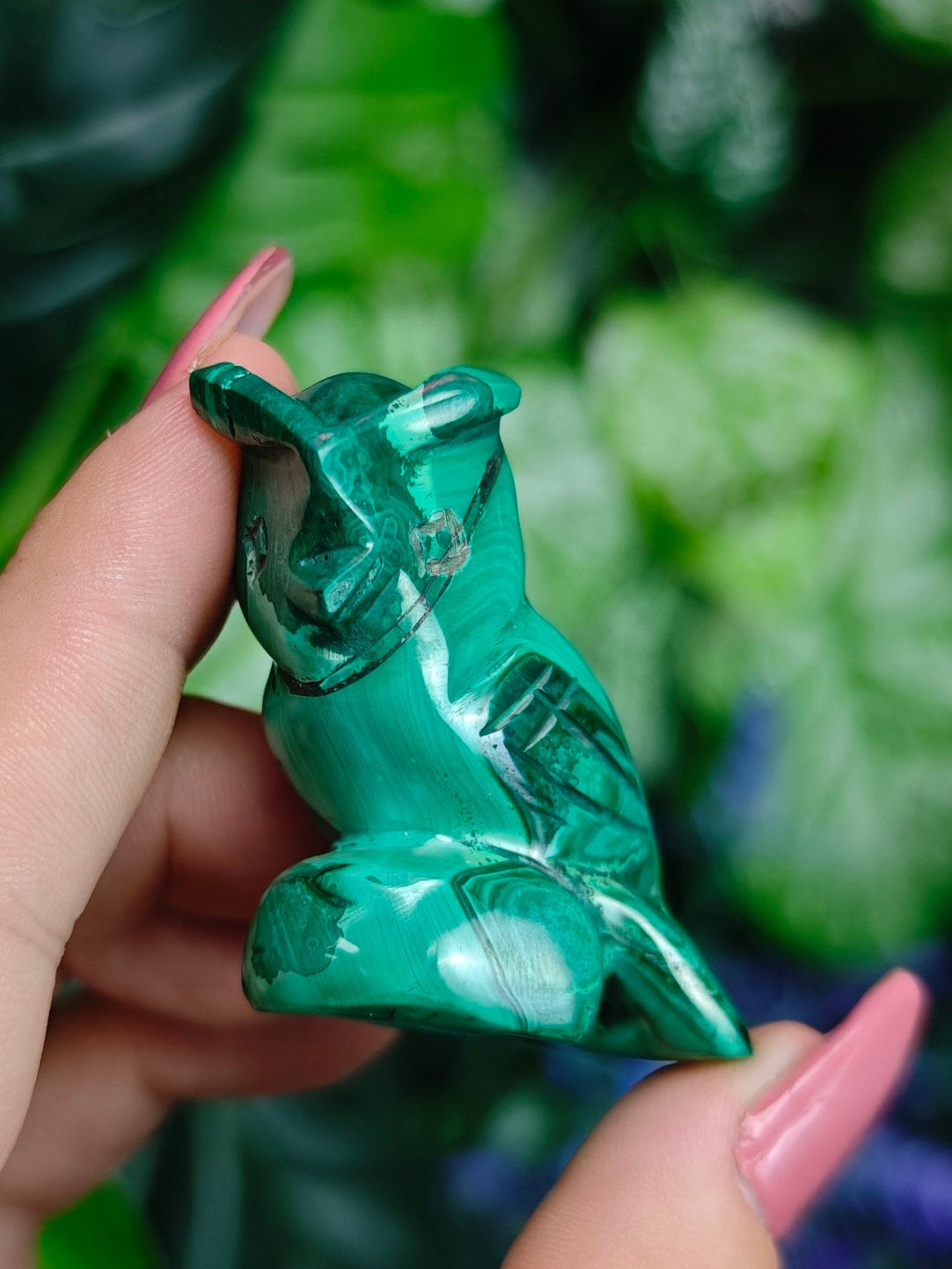 Malchite Owl
