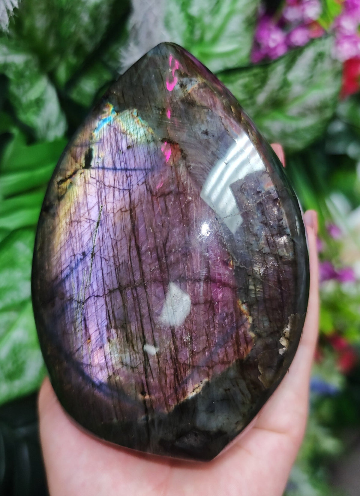 Purple Labradorite Free Form