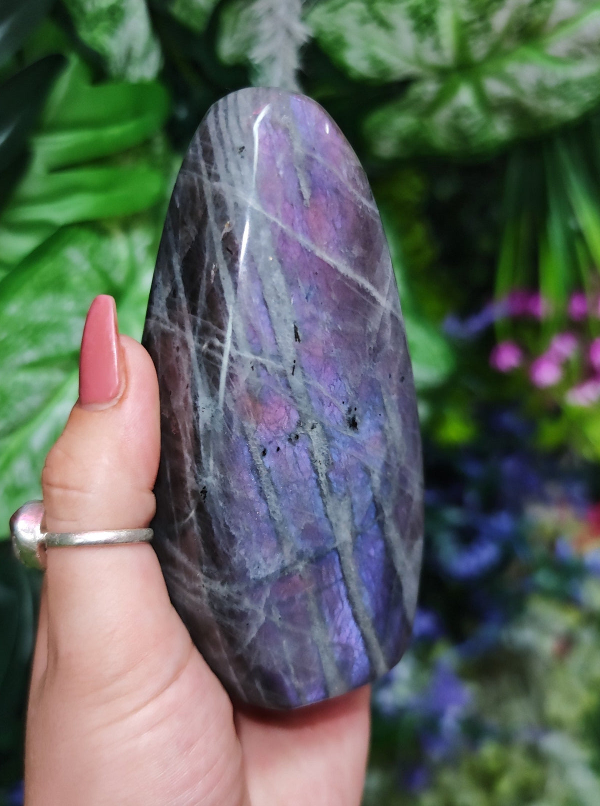 Purple Labradorite Free Form