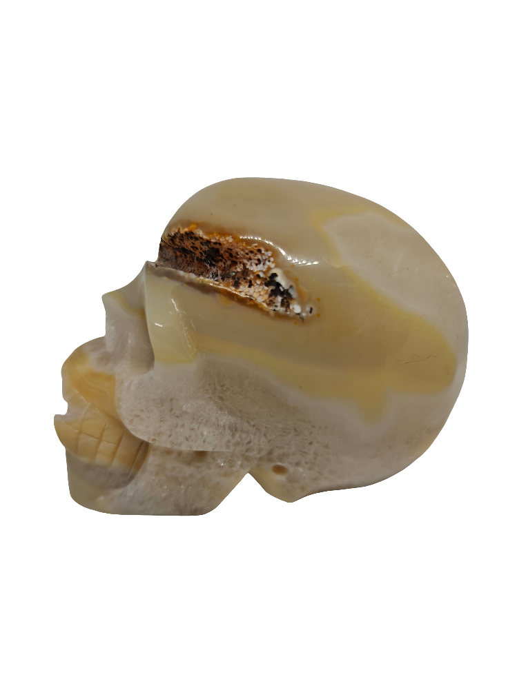 Clear Quartz & Agate Skull 4.25"
