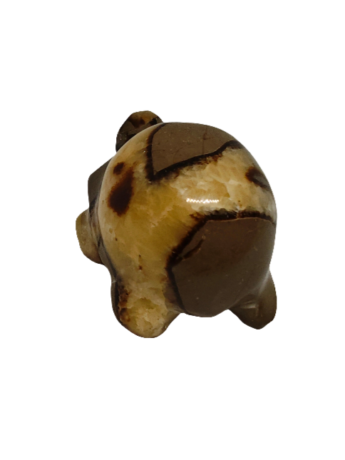 Septarian Turtle Carving 2.5"