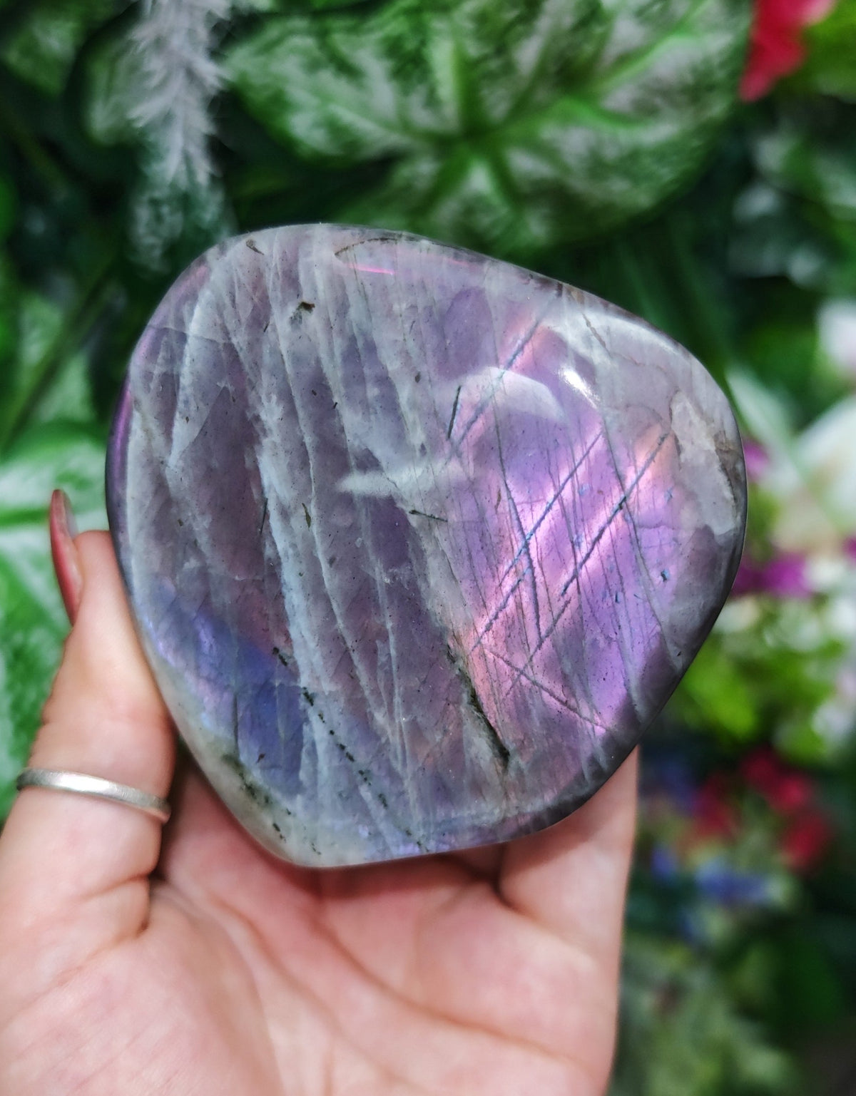 Purple Labradorite Free Form