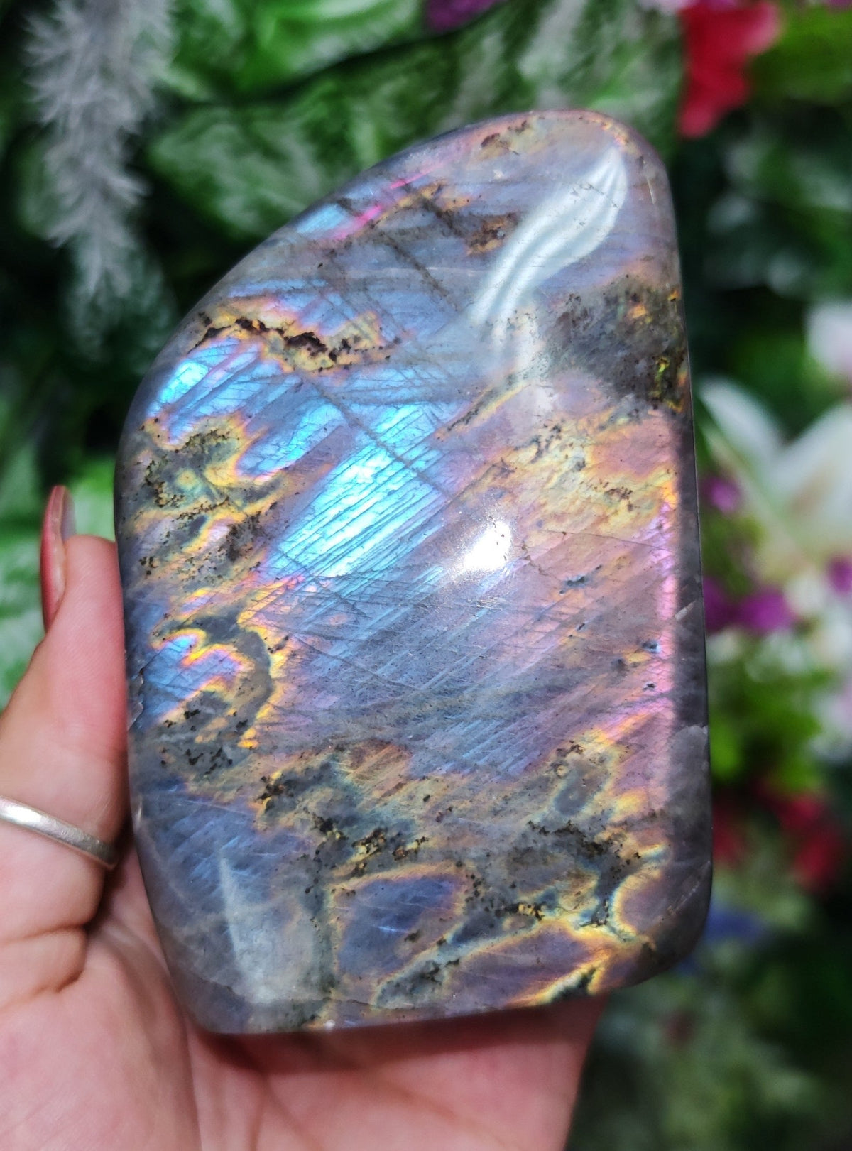 Sunset Labradorite Free Form