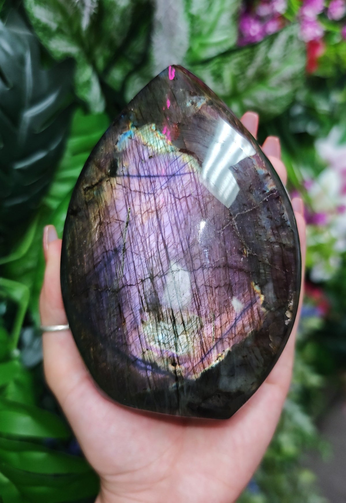Purple Labradorite Free Form