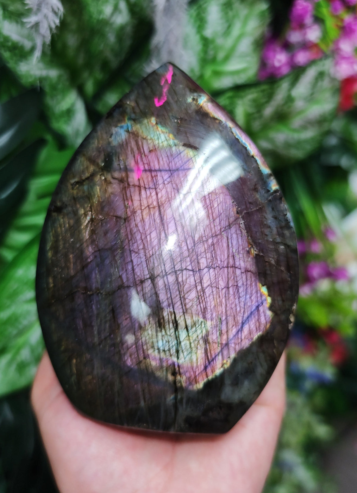 Purple Labradorite Free Form