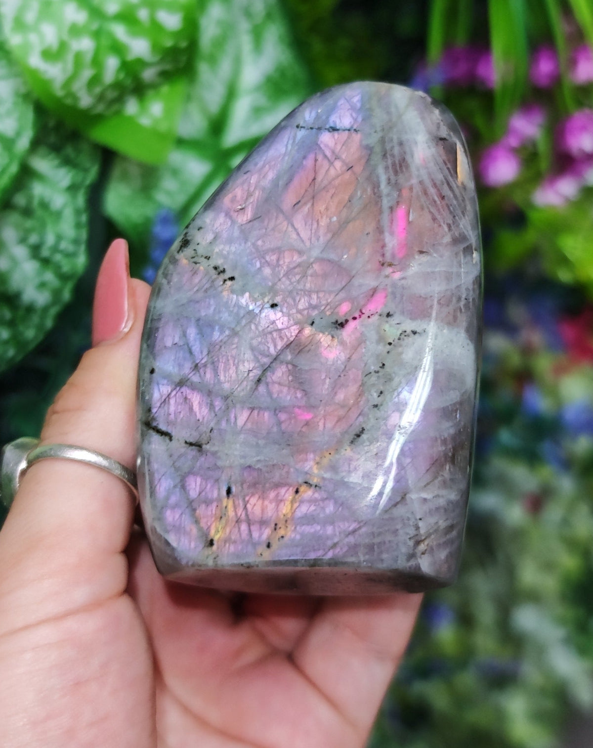 Pink Labradorite Free Form