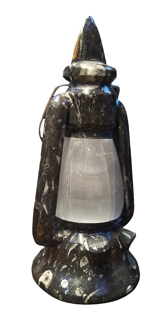 10.5"  Selenite & Orthoceras Lamp