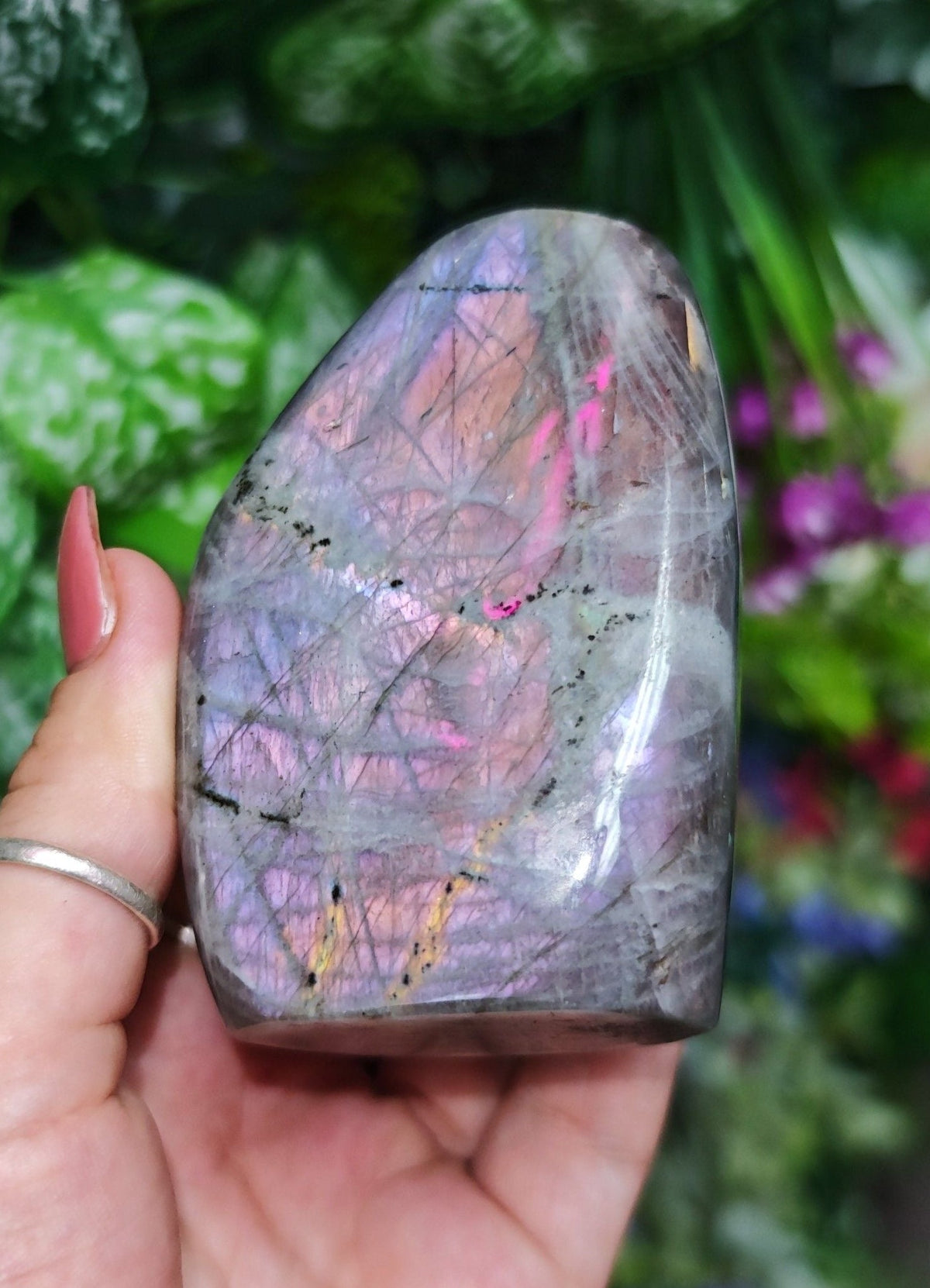 Pink Labradorite Free Form