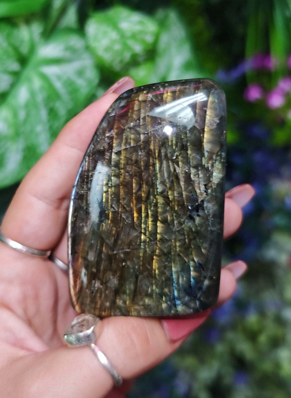 Orange Labradorite Free Form