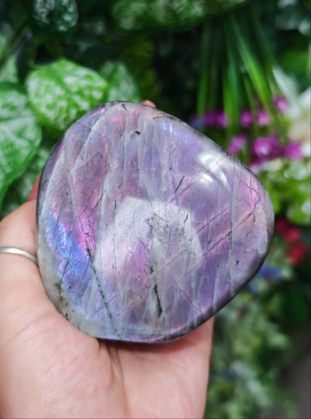 Purple Labradorite Free Form