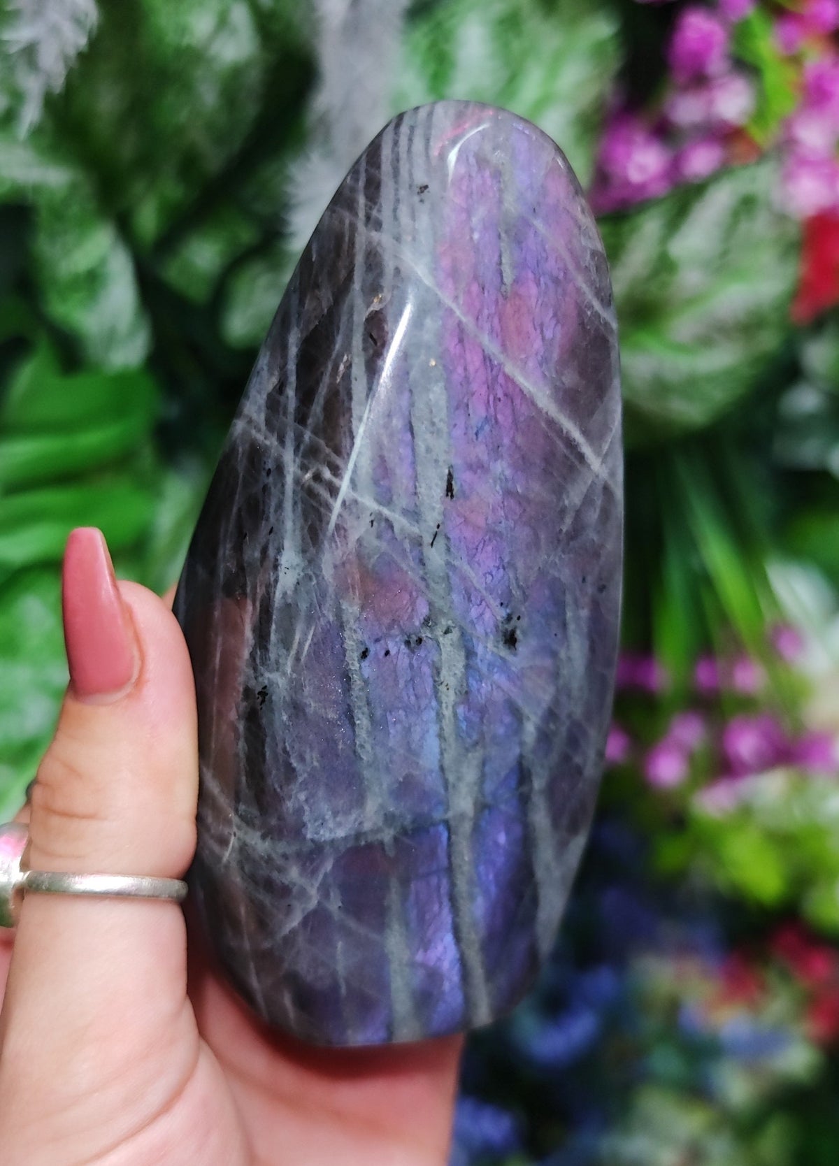 Purple Labradorite Free Form