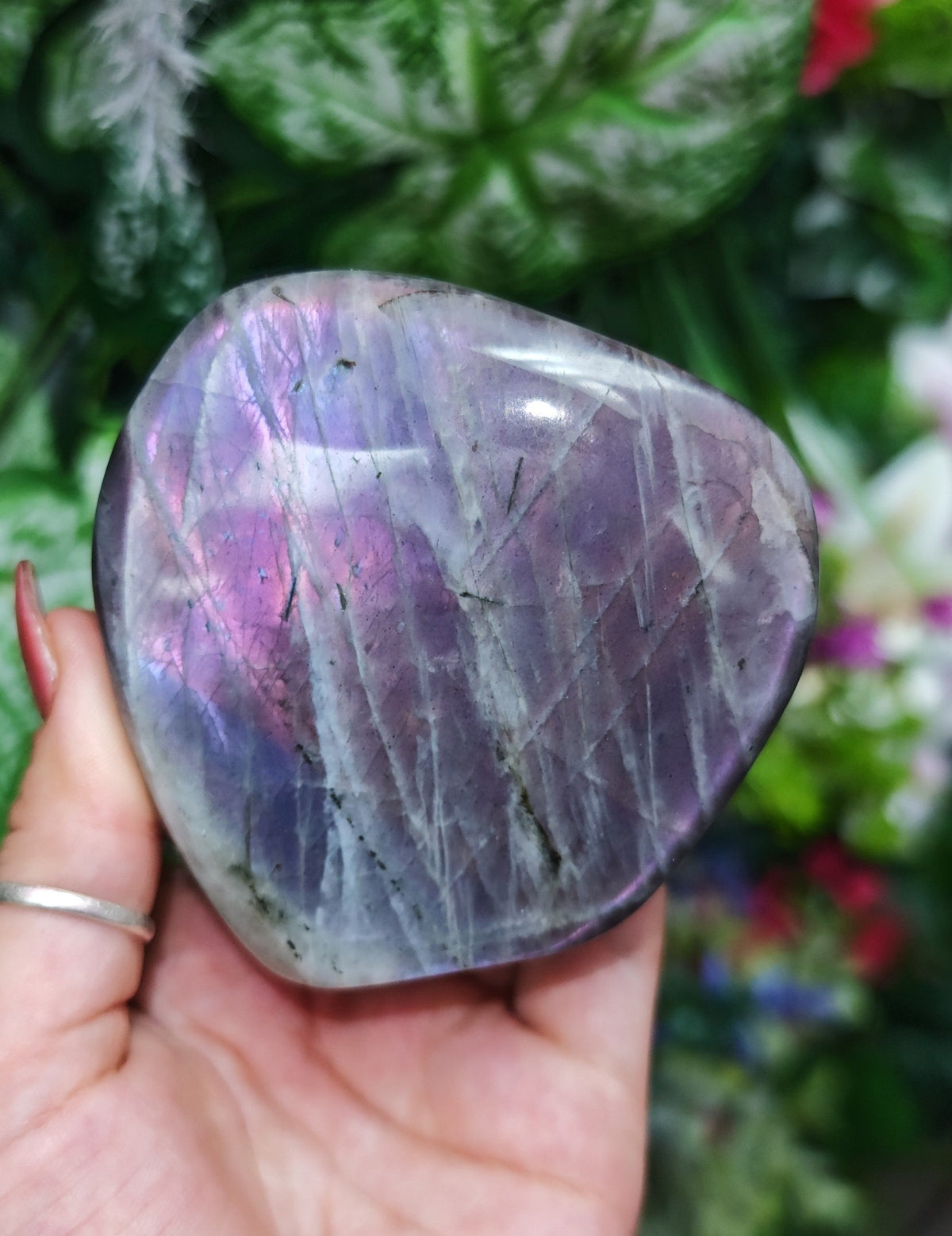 Purple Labradorite Free Form