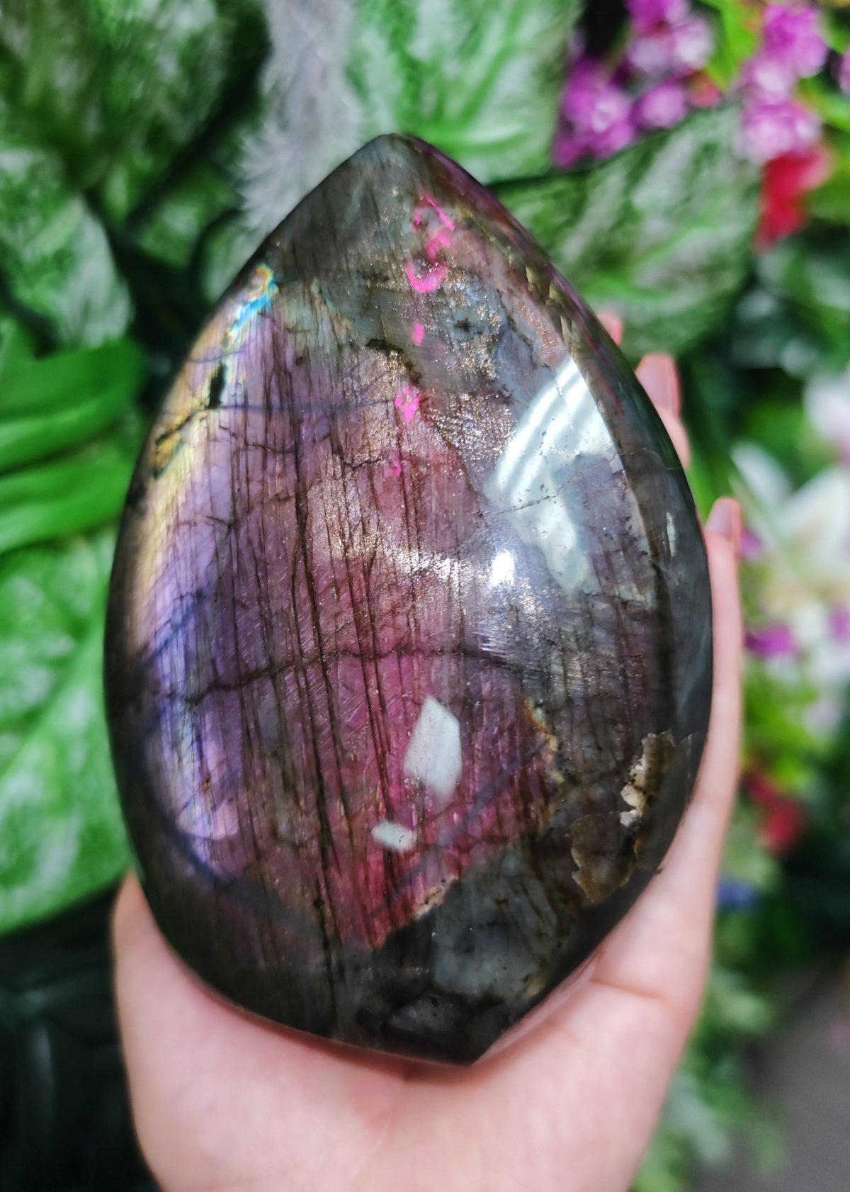 Purple Labradorite Free Form