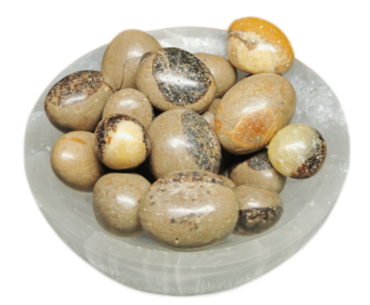 Septarian Tumble Stone
