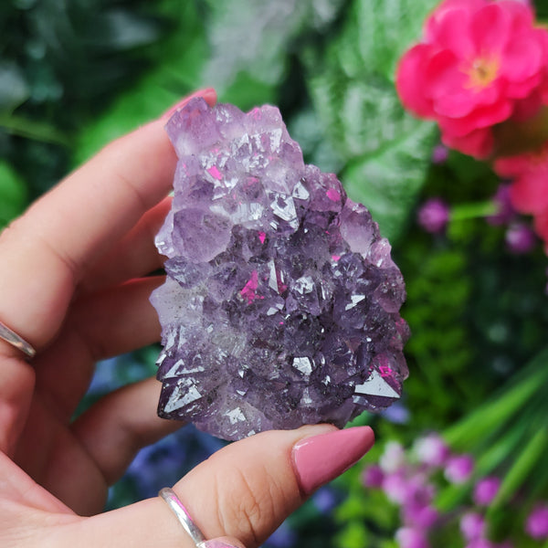 Elestial Amethyst on Fluorite Specimen