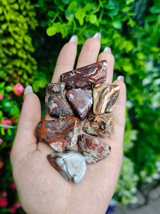 Mexican Lace Agate Tumbled Stone