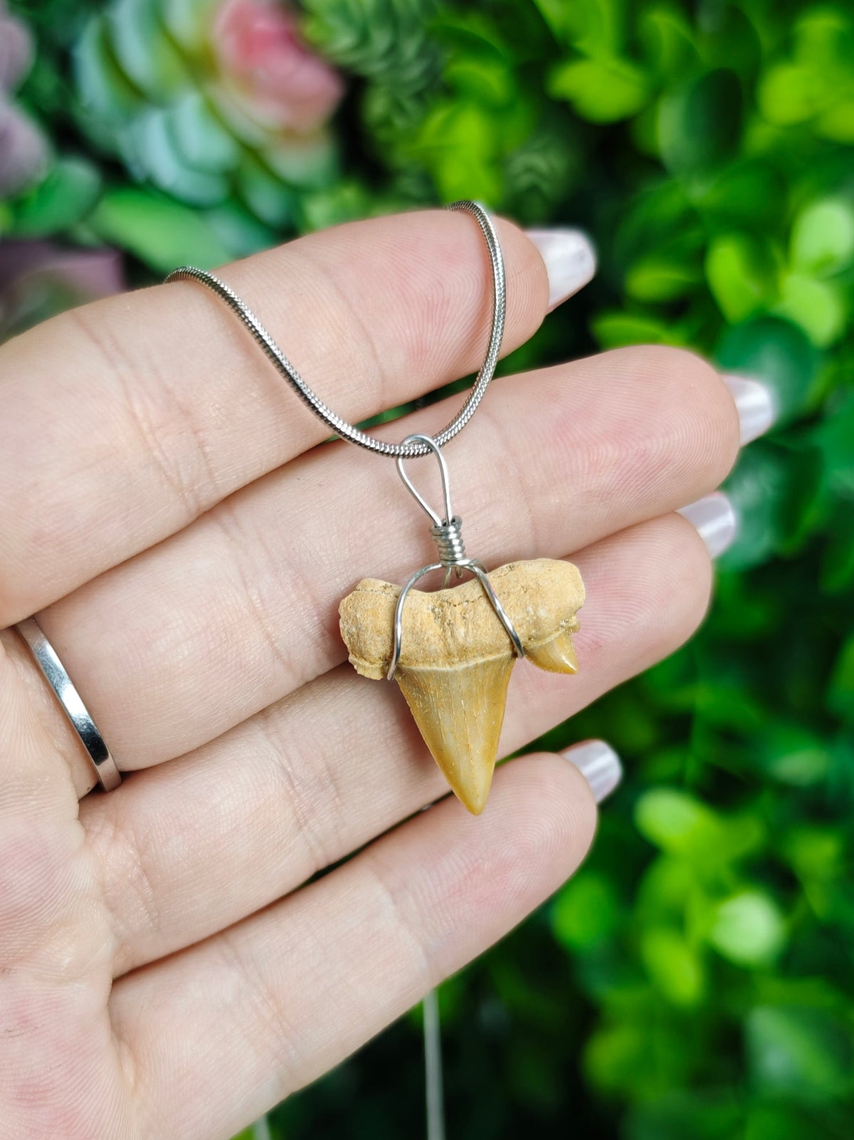 Shark Tooth Necklace