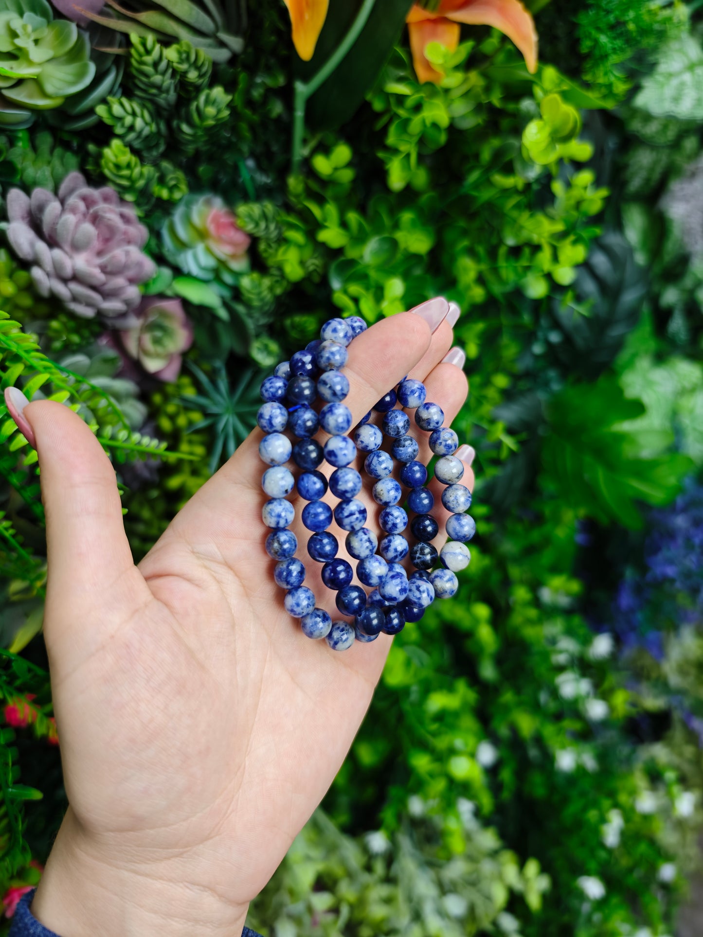 Sodalite Bracelet