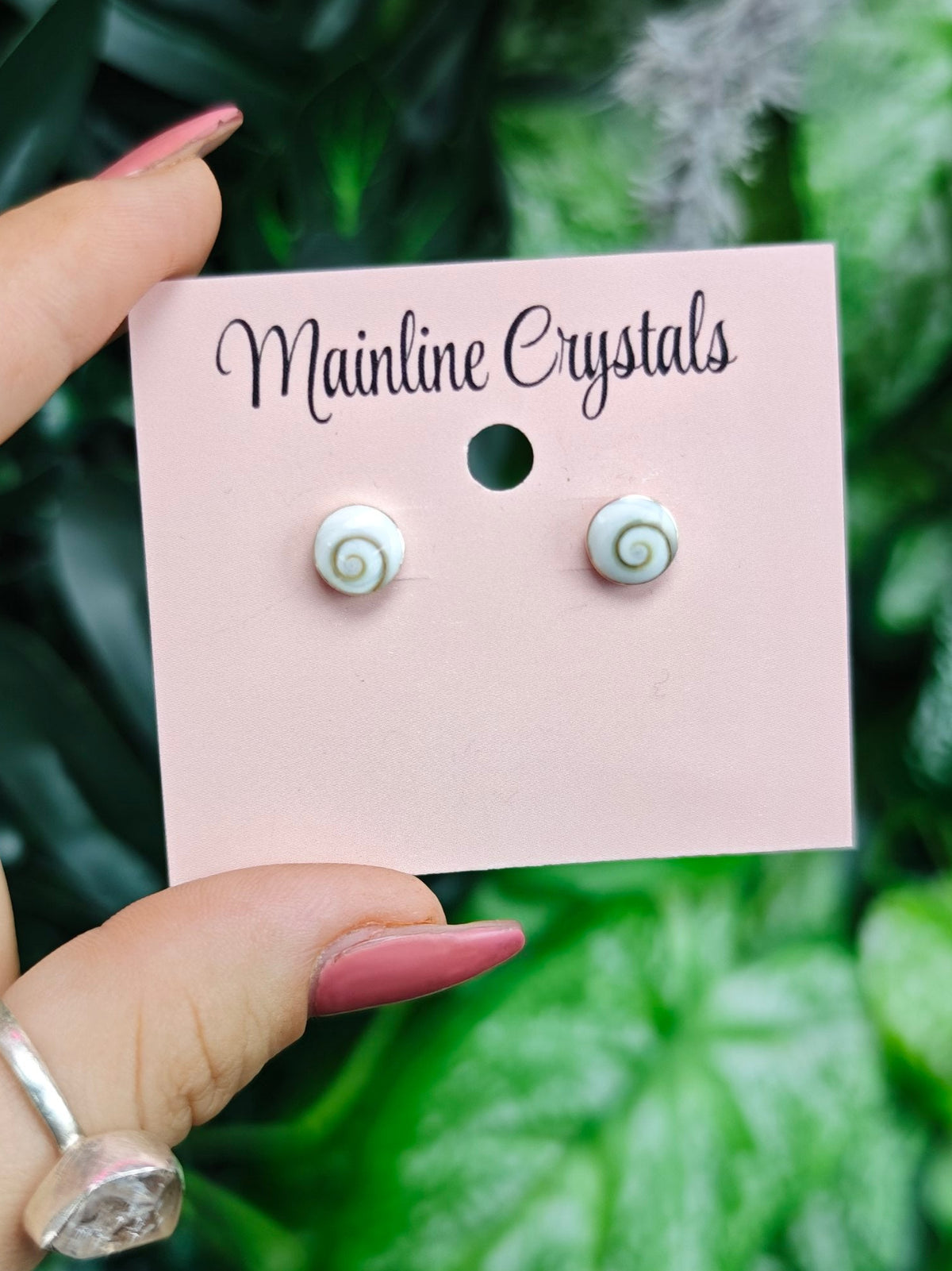 Shiva Eye Shell Sterling Silver Earrings