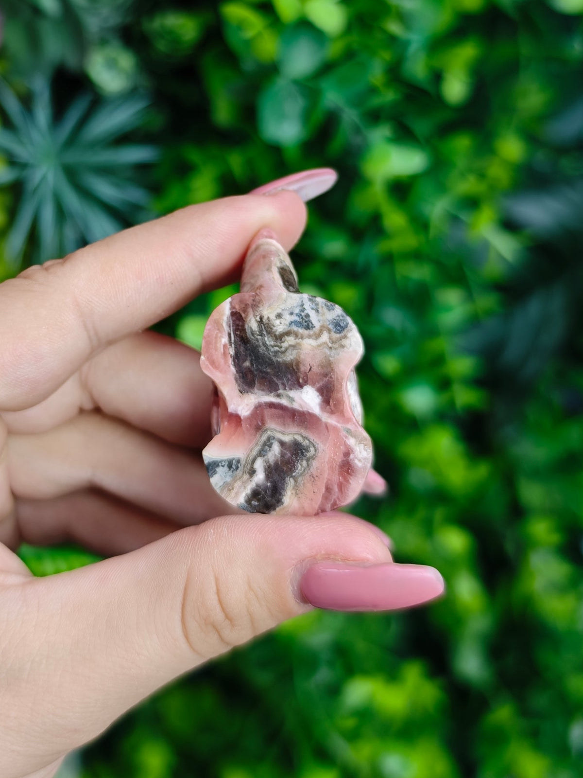 Rhodochrosite Turtle Carving
