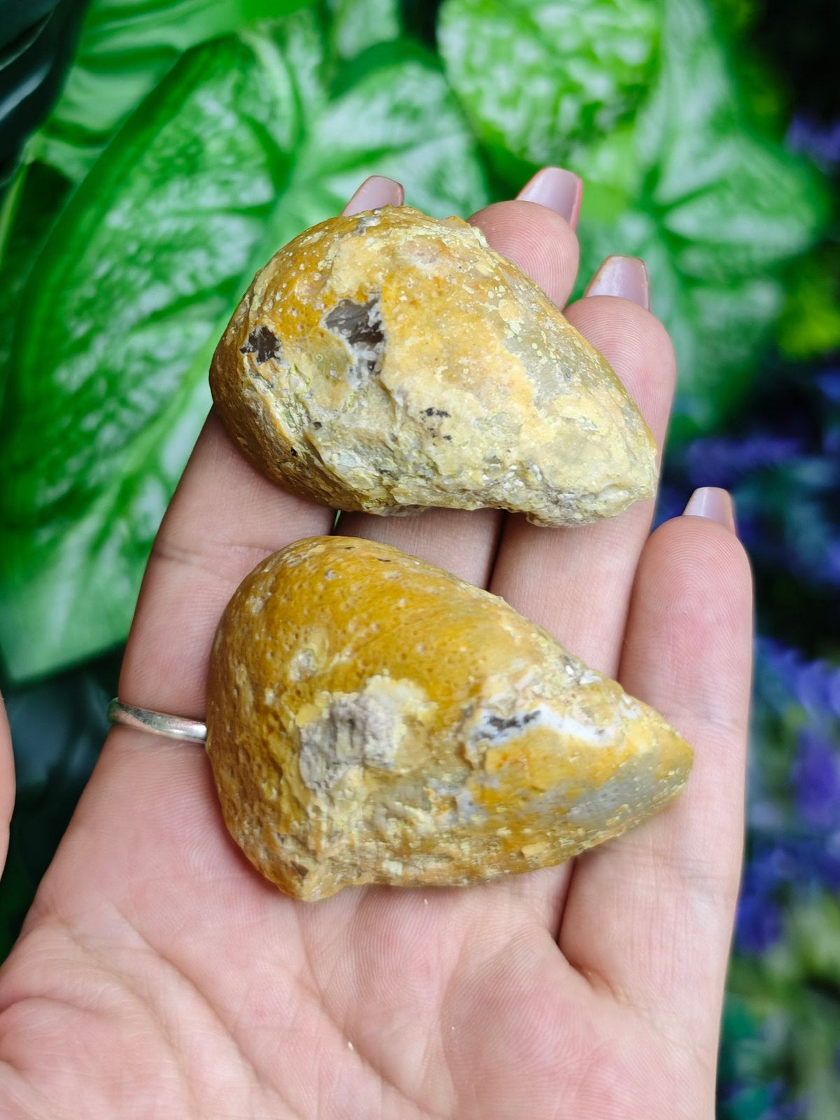 Brazilian Agate Geode