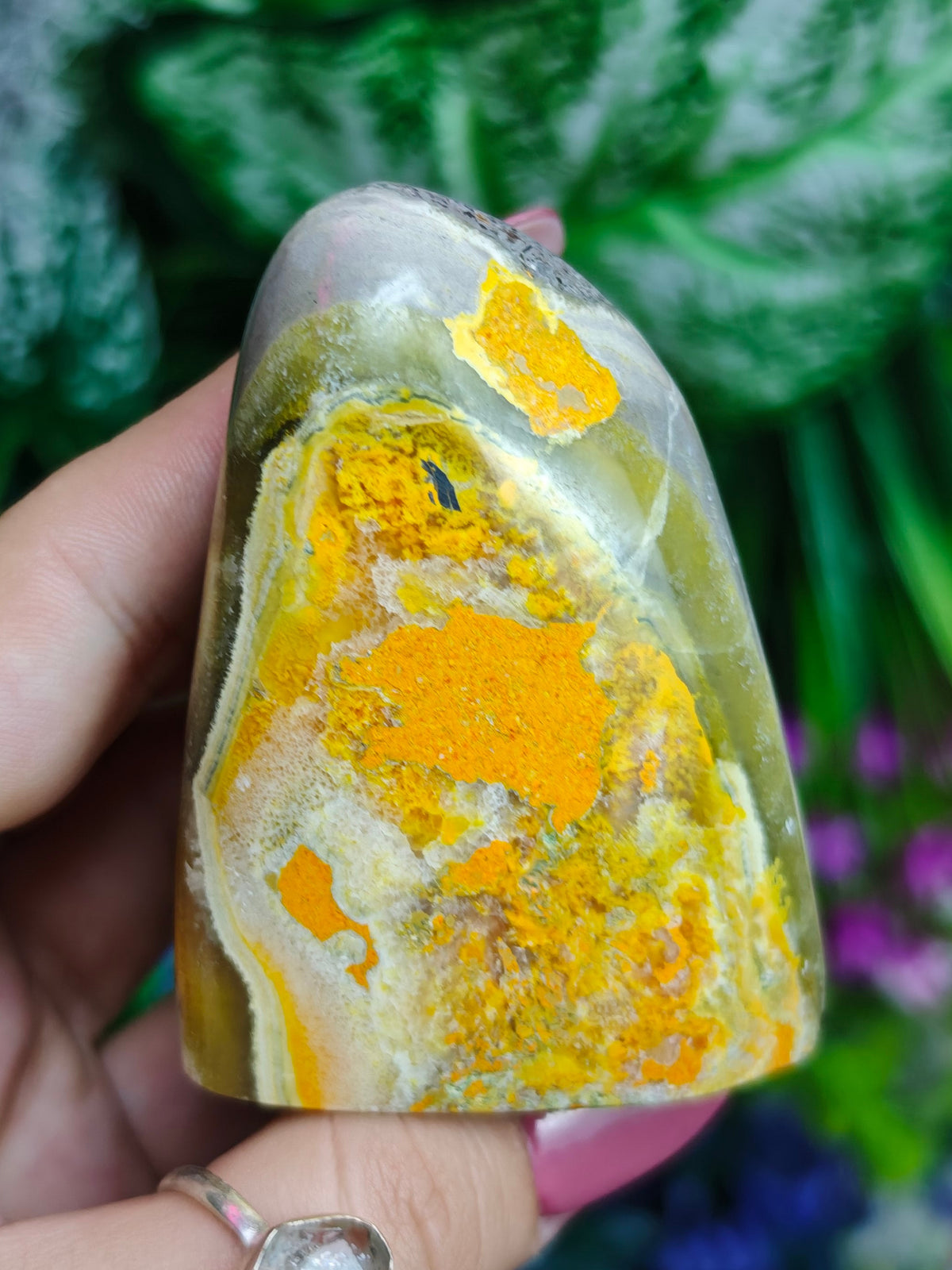 Bumblebee Jasper Freeform