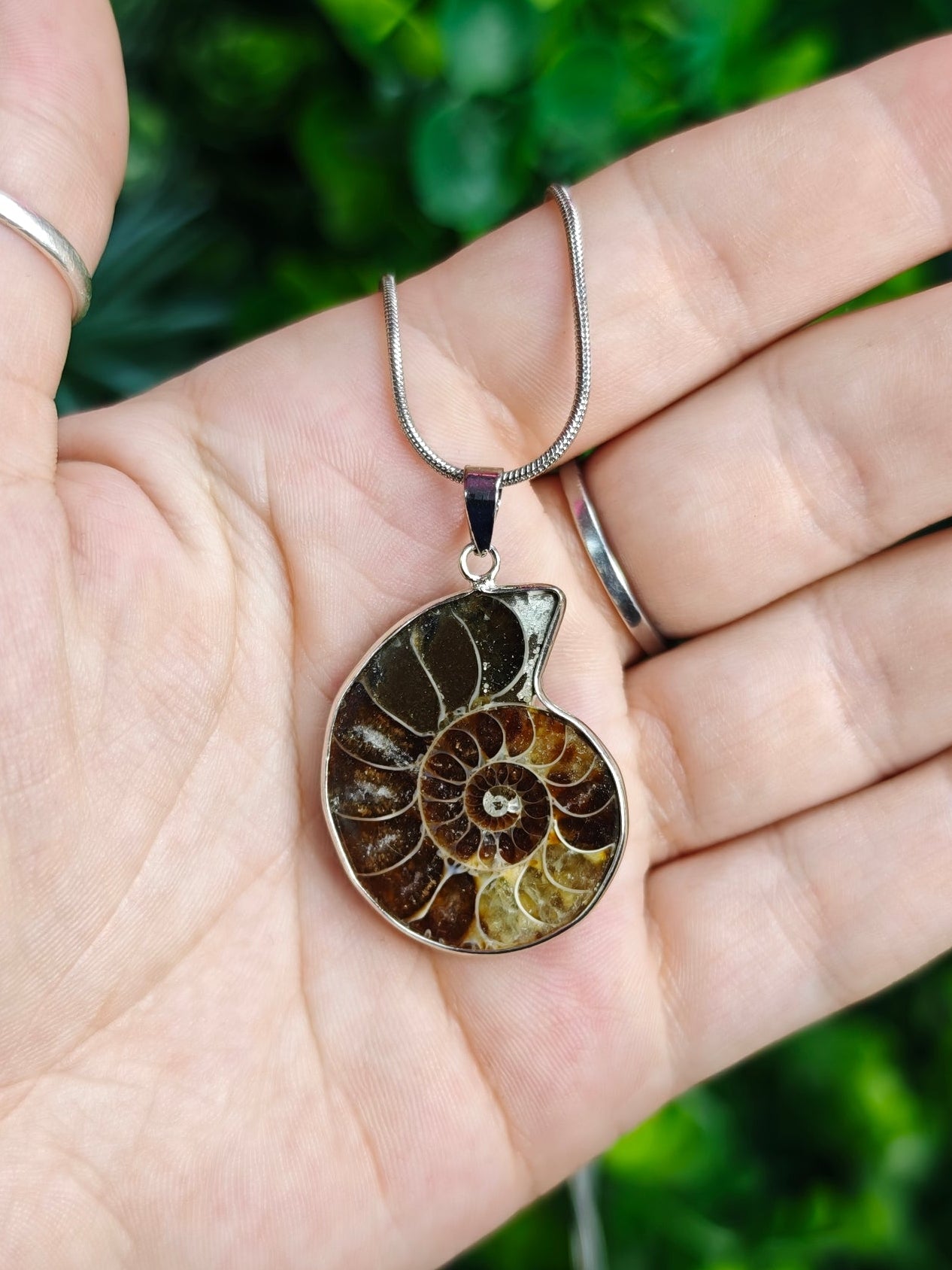 Ammonite Necklace