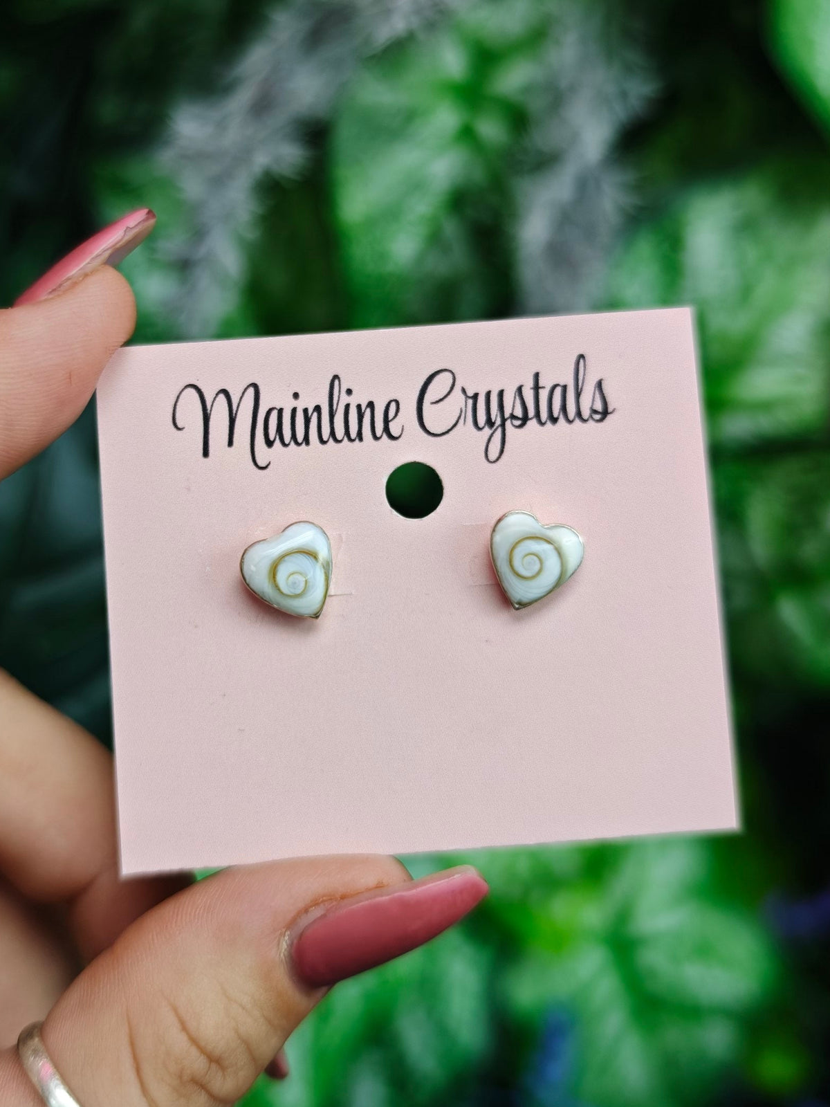 Shiva Eye Shell Sterling Silver Earrings